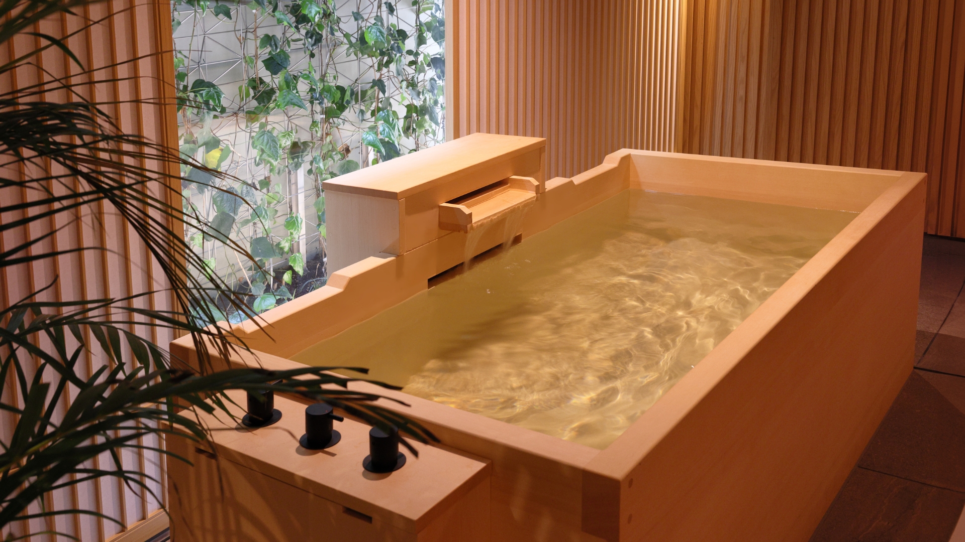 Spa Offer Onsen
